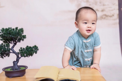 安陆洛阳助孕医院排名揭晓前十名揭秘，过来人经验分享